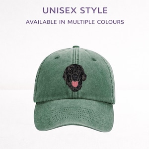Gorra de béisbol bordada de Flat Coated Retriever, unisex, para amantes de los perros, con caja de regalo