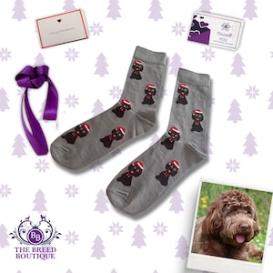 Puede incluir: Un par de calcetines grises con un patrón repetitivo de perros marrones con gorros de Papá Noel rojos y blancos. Se incluyen una cinta morada, una tarjeta blanca de Merry Christmas con borde rojo, una nota de agradecimiento y una foto.