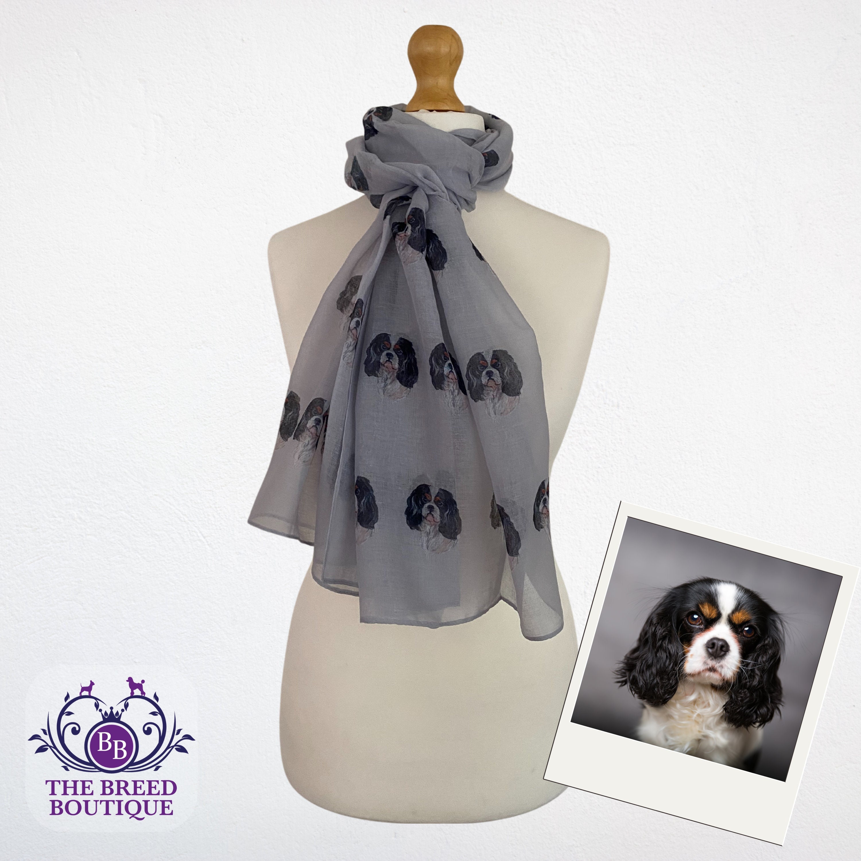 Cavalier King Charles Spaniel Chiffon Cover Up - Tri Cavalier King Charles Spaniel Chiffon Cover Up - Tri