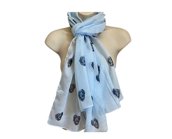 Ladies pale cheap blue scarf
