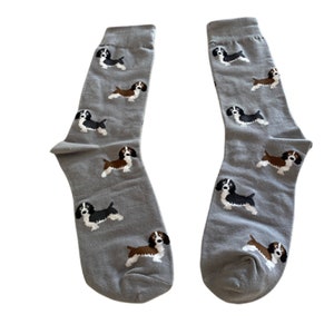 Springer Spaniels Socks Fun Unisex One Size Fit UK 5 11, EU 38 46 and US 7.5 12 image 3