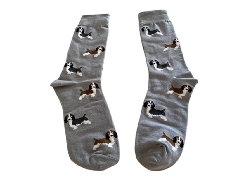 Springer Spaniels Socks Fun Unisex One Size Fit UK 5 11, EU 38 46 and US 7.5 12 image 3