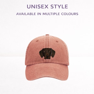 Gorra de béisbol bordada de Braco Alemán, unisex, con caja de regalo.