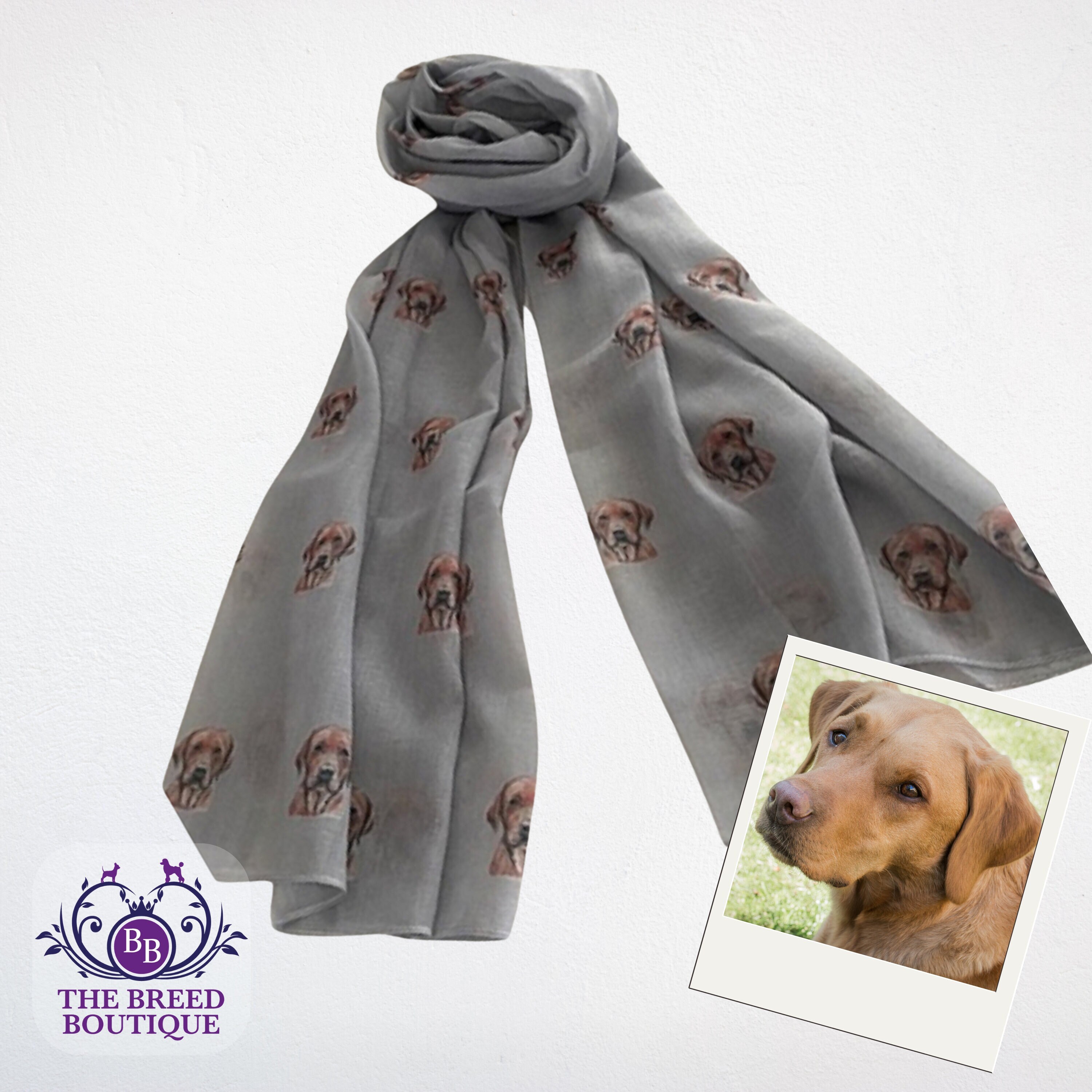 Fox Red Labrador Print Ladies Scarf Available in Cream and Grey