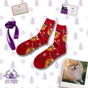 Pomeranian Christmas Socks - Dog Lover Gift - UK 5-11 US 6-12 EU 38-46 | Secret Santa Idea