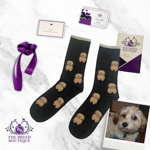 Cavachon Print Socks: Unisex Cotton Blend, One Size Fit