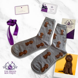 Brown Cockapoo Socks - Unisex, Adult One Size Fit
