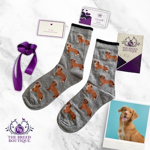 Chaussettes à imprimé chien Duck Toller Retriever de la Nouvelle-Écosse Chaussettes unisexes amusantes Taille unique UK 5-11, EU 38-46 & US 7.5-12