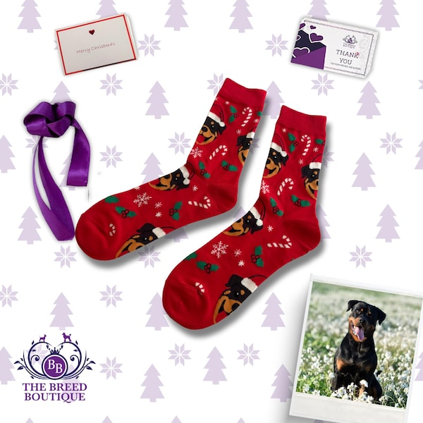 Rottweiler Christmas Socks, Dog Lover Gift, Secret Santa Gift, Novelty Xmas Socks, UK 5 to 11