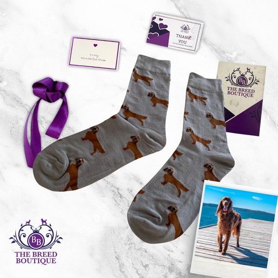 Irish Setter Socks Irish Setter Socks