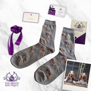 Bracco Italiano Dog Print Socks: Unisex Cotton Blend, One Size