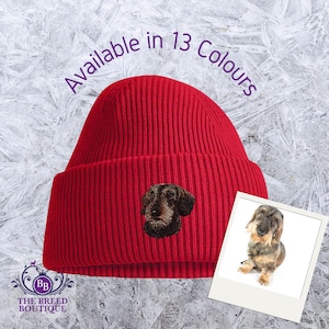 Wire Haired Dachshund Embroidered Beanie - 100% Recycled Polyester, Unisex Fit - 13 Colour Choices with Gift Box Dachshund Gift