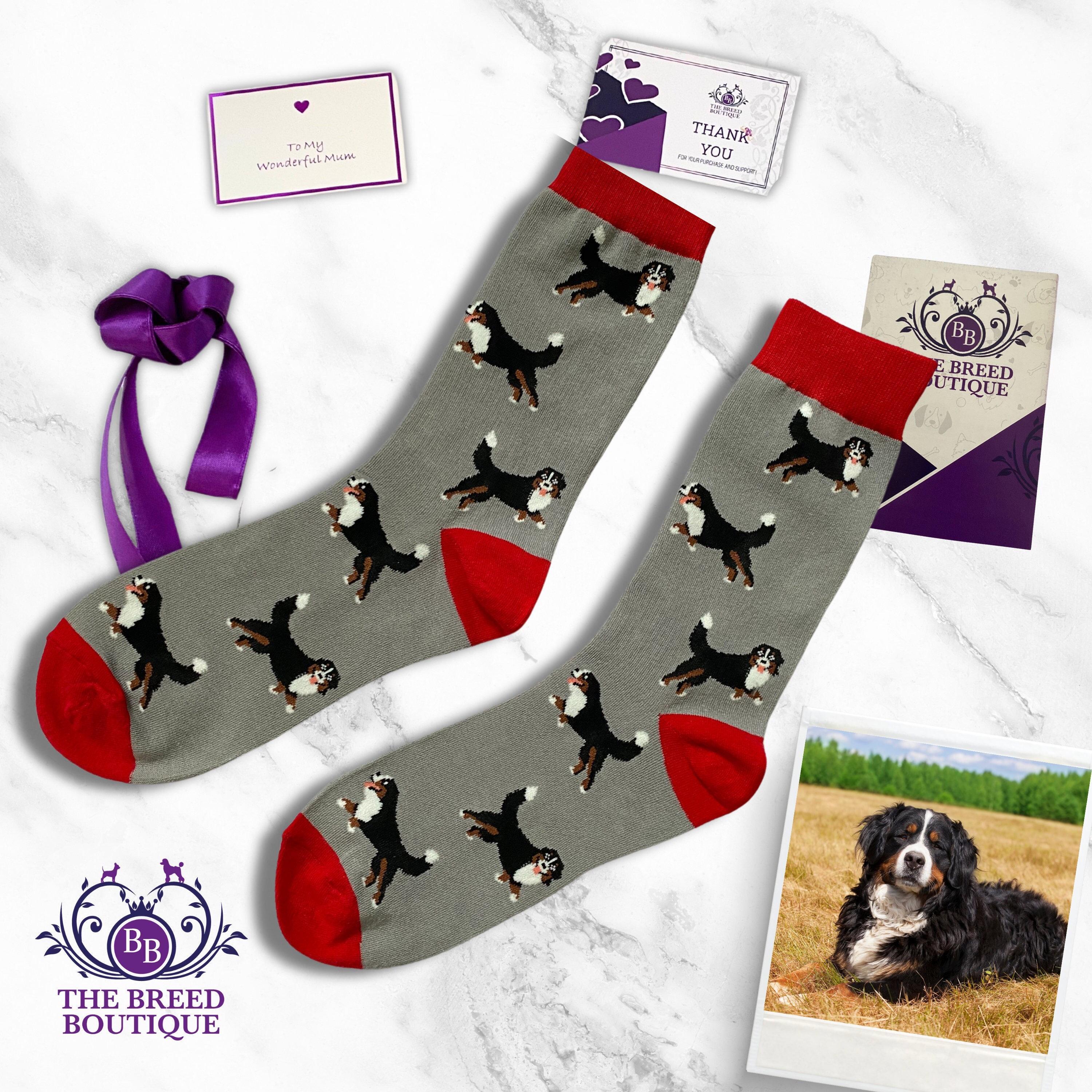 Bernese Mountain Dog Socks UK