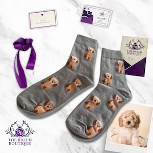 Calzini con stampa Cockapoo: misto cotone unisex, taglia unica