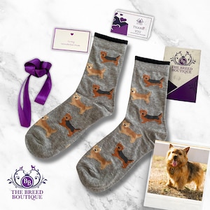 ノーリッチテリアプリントソックス：ユニセックス ワンサイズ プリント