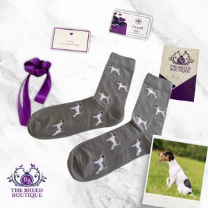 Parson Russel Socken - Lustiger Hund Design, Unisex Einheitsgröße