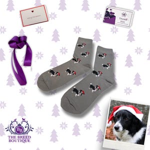 Border Collie Christmas Socks, Dog Lover Gift, Secret Santa Gift, Novelty Xmas Socks, UK 5 to 11