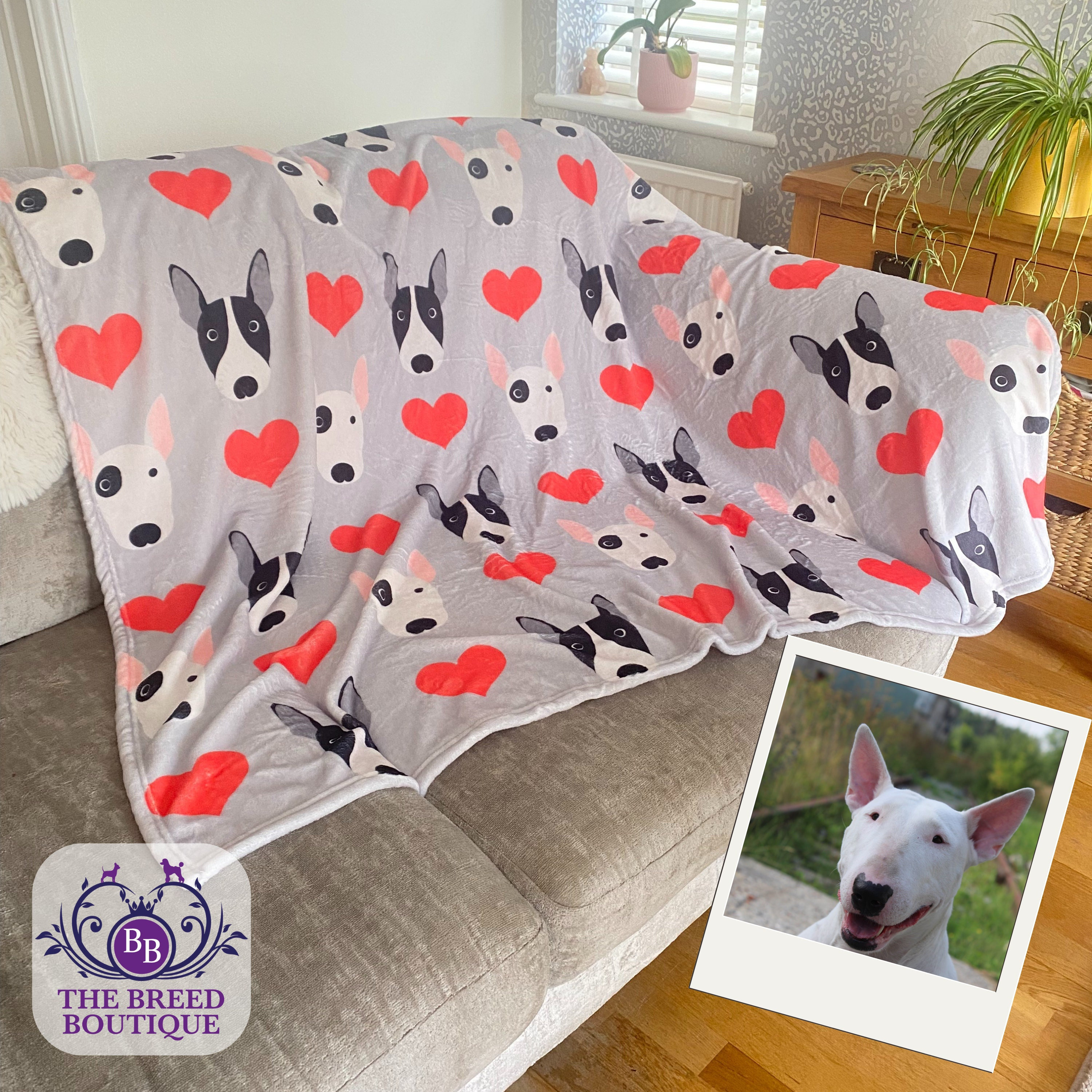Bull terrier blanket shop