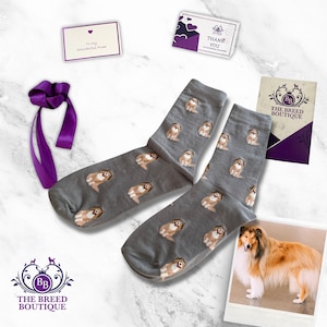 Calcetines con estampado de collie de pelo largo: regalo unisex para amantes de los perros, talla única