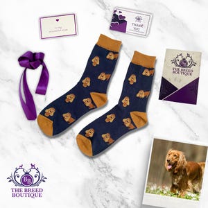 Calcetines dorados con estampado divertido de Cocker Spaniel. Calcetines unisex con estampado divertido de Cocker Spaniel. Talla única: Reino Unido 5-11, UE 38-46 y EE. UU. 7,5-12.