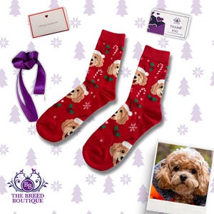 Könnte beinhalten: Ein Paar rote Weihnachtssocken mit einem sich wiederholenden Muster eines Hundes mit Weihnachtsmütze, Zuckerstangen und Schneeflocken. Die Socken werden mit einer Grußkarte, einer Dankeskarte, einem lila Band und einem Hundefoto präsentiert.