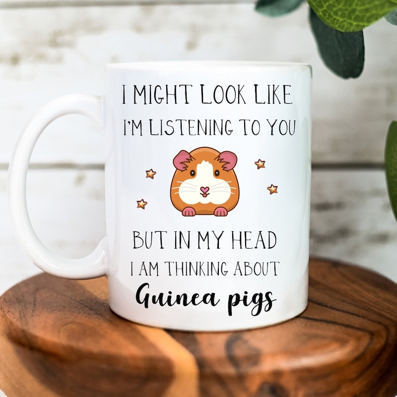 Fresh Look at Guinea Pig Gift 60 Gift Ideas For 2024