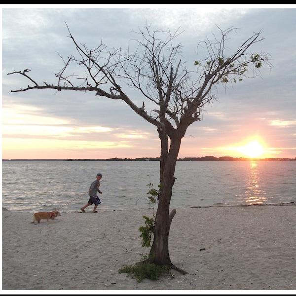 CORGI BEACH by Kurt Hothan.  High-quality print, original photography, sunset, dog, kid, running, fun, Maryland, landscape, Made in USA