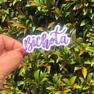 Bichota Vinyl Sticker: Karol G Inspired, Floral Accent