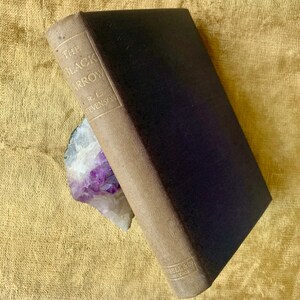 May include: A vintage hardcover book titled "The Black Arrow" by R.L. Stevenson. The book is brown with gold lettering and is resting on a purple amethyst crystal.