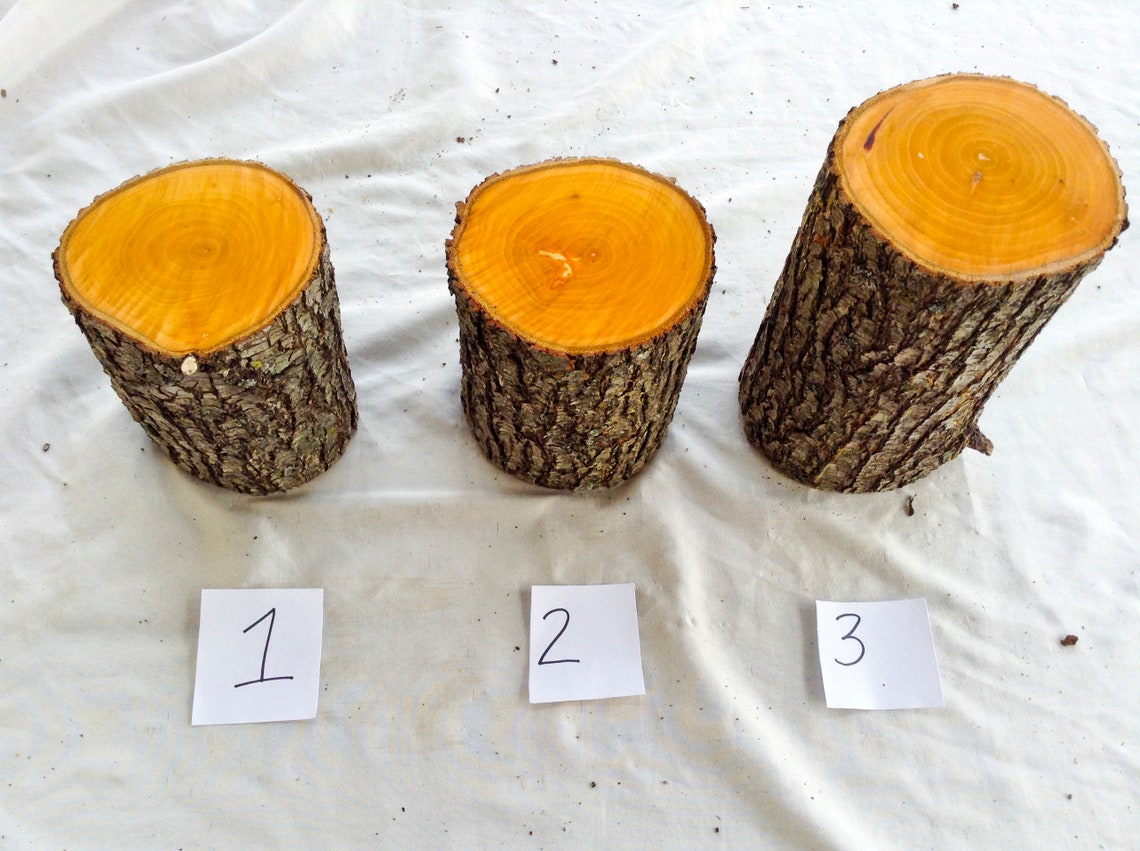 Bradford Pear Wood for carving Fruit wood for woodcarving and Etsy