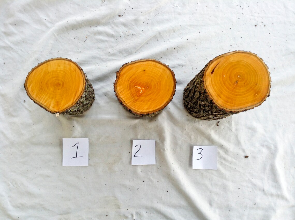 Bradford Pear Wood for carving Fruit wood for woodcarving and Etsy