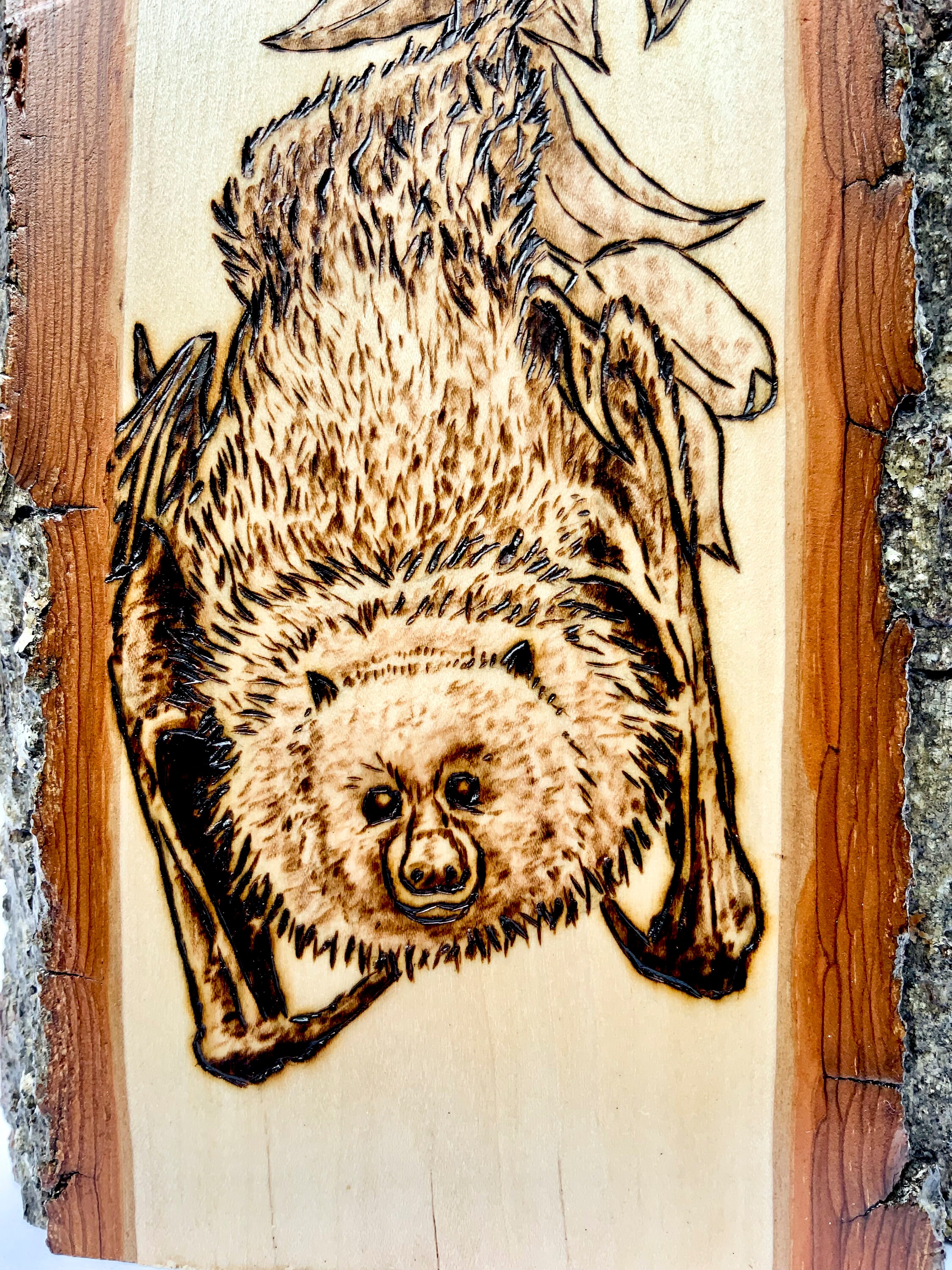 Cute Detailed Bat Hanging Upside Down From Branch Fine Art - Etsy