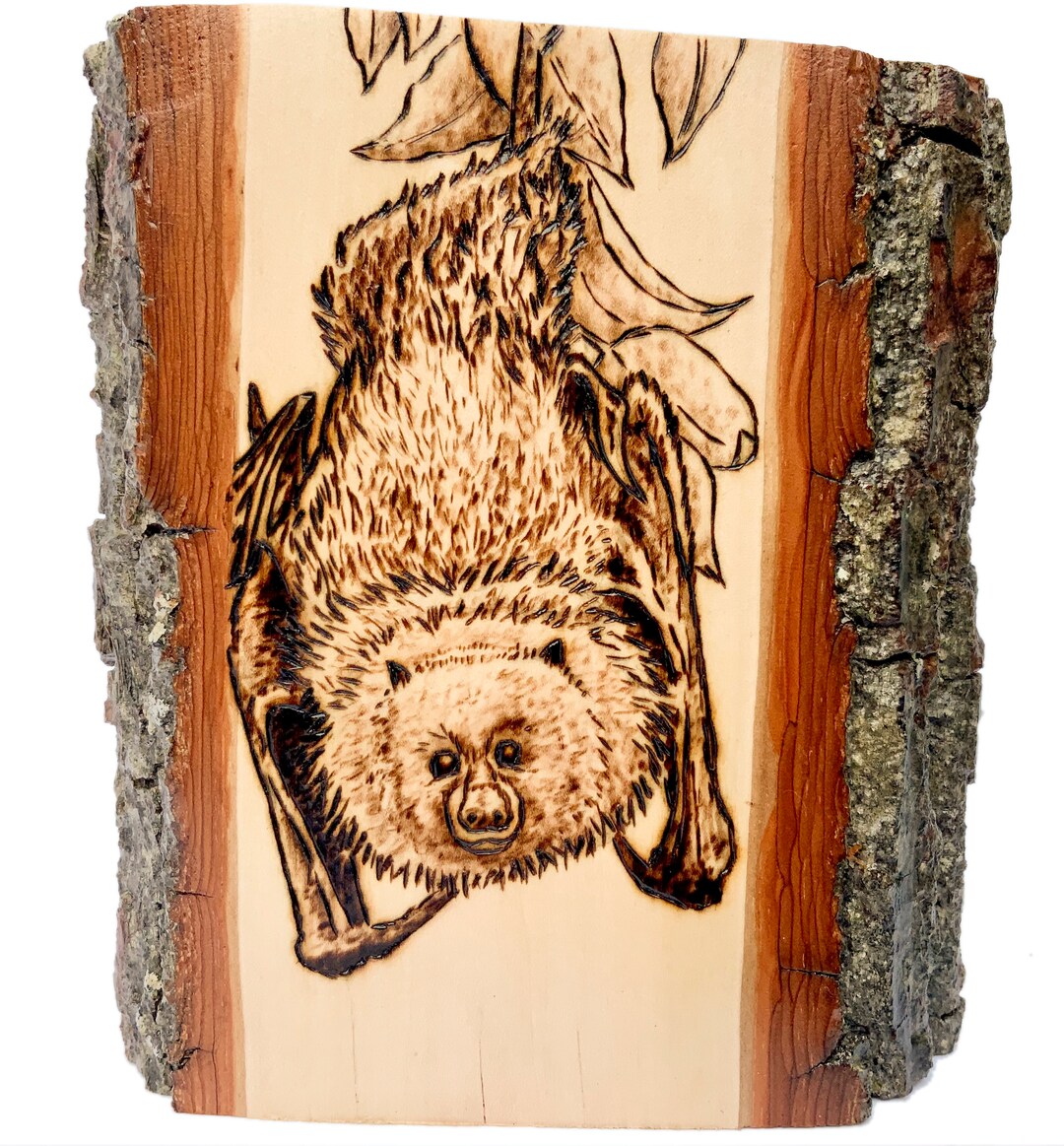 Cute Detailed Bat Hanging Upside Down From Branch Fine Art Illustration ...