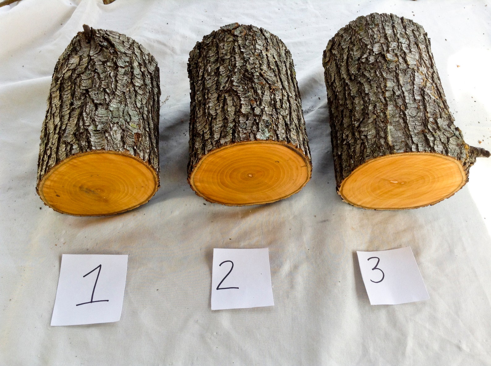 Bradford Pear Wood for carving Fruit wood for woodcarving and Etsy