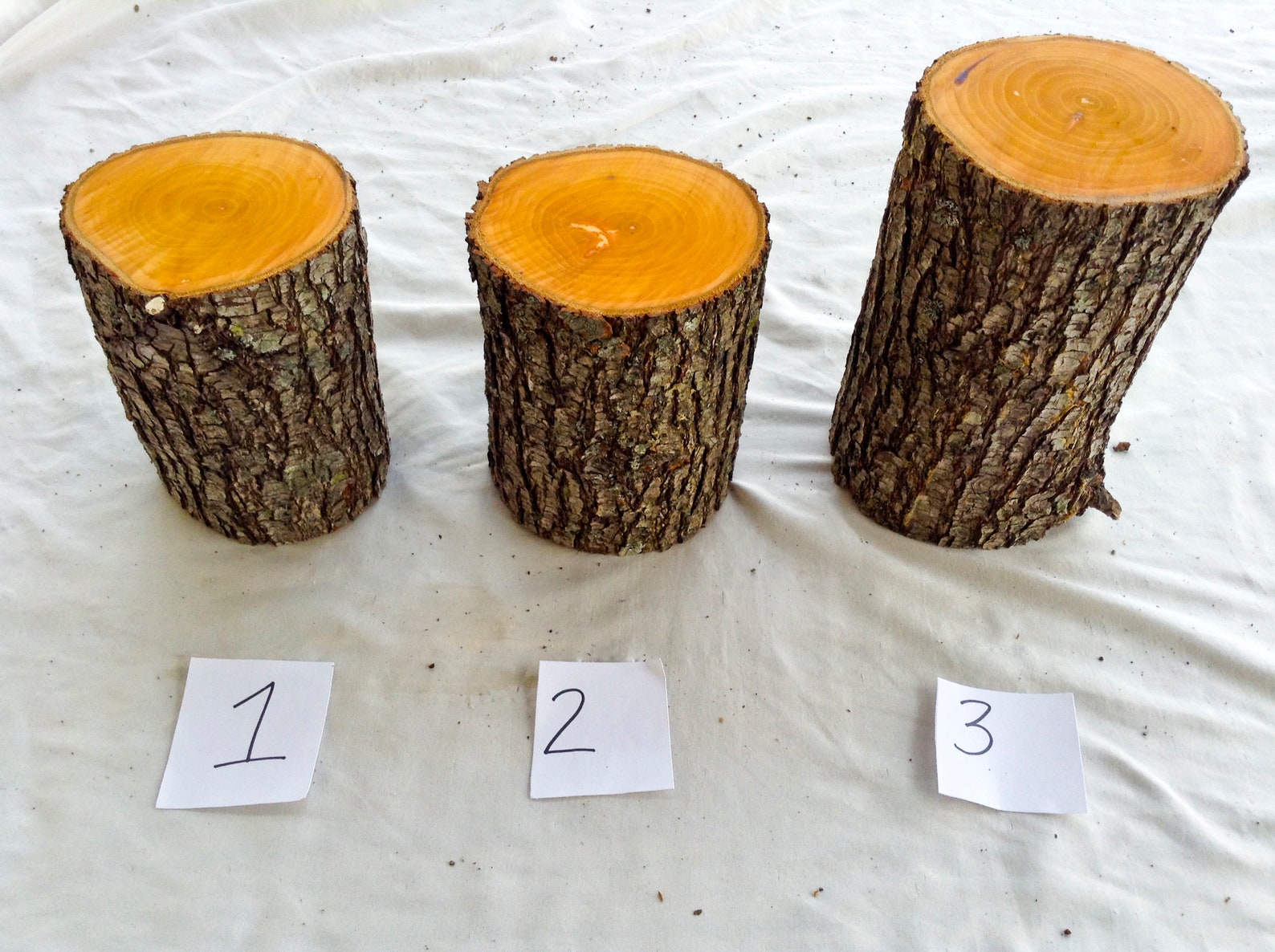 Bradford Pear Wood for carving Fruit wood for woodcarving and Etsy