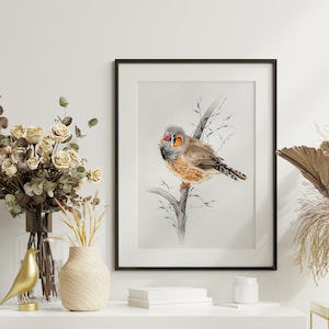 Stampa artistica Stampa artistica Poster di uccelli - Immagine acquerello di uccelli - Zebra Finch Finch - Immagini per cameretta e soggiorno