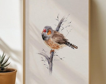 Zebra Finch Watercolor Painting: Original artwork with robin and branch - hand-painted and signed - 20 x 30 cm / DIN A4