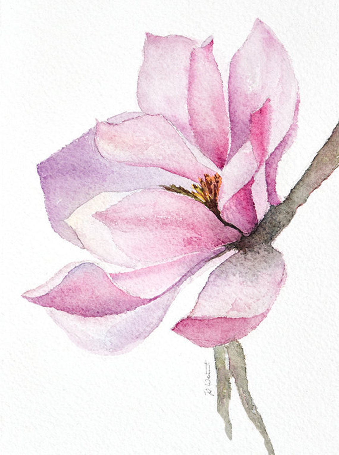 Art Print Magnolia Floral Watercolor Magnolia Flower | Etsy