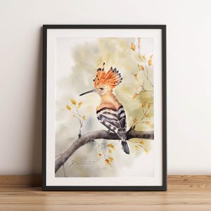May include: Framed watercolour painting of a Hoopoe bird on a branch. The bird has orange, black, and white feathers and a prominent crest. The background features soft yellow and green tones with autumnal leaves.