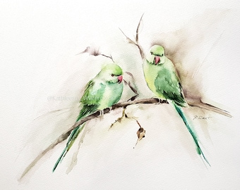 Collared Parakeet green - Fine Art Art Print | Bird Watercolor | Museum quality - lightfast
