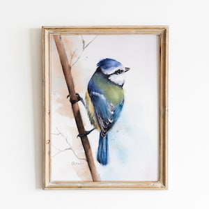 Puede incluir: Una pintura de acuarela de un carbonero com&uacute;n posado en una rama. El p&aacute;jaro est&aacute; pintado en tonos de azul, verde y amarillo, con un pecho blanco. El fondo es un suave lavado de azul y marr&oacute;n.