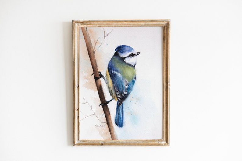 Puede incluir: Una pintura de acuarela de un carbonero com&uacute;n posado en una rama. El p&aacute;jaro est&aacute; pintado en tonos de azul, verde y amarillo, con un pecho blanco. El fondo es un suave lavado de azul y marr&oacute;n.