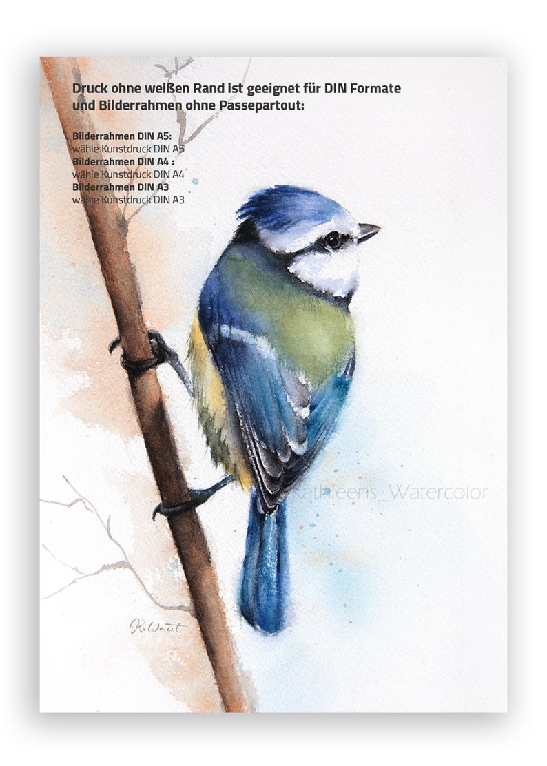 Puede incluir: Pintura acuarela de un carbonero com&uacute;n posado en una rama. El p&aacute;jaro est&aacute; pintado en tonos de azul, verde y amarillo. El fondo es una acuarela azul claro. El texto "Kathleens_Watercolor" est&aacute; en la esquina inferior derecha de la imagen.