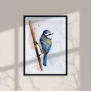 Puede incluir: Pintura acuarela de un carbonero com&uacute;n posado en una rama. El p&aacute;jaro tiene la cabeza azul, el pecho amarillo y las alas verdes. El fondo es azul claro.