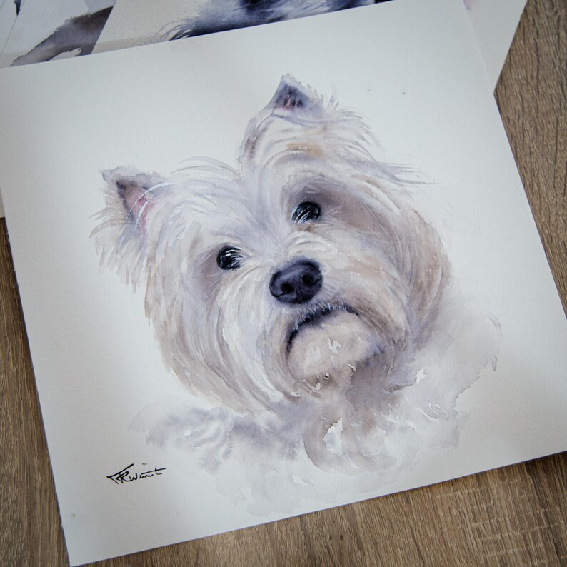 Personalized cat portrait from photo | Hand-painted watercolor cat portrait | Custom cat portrait | Gift for cat lovers image 11