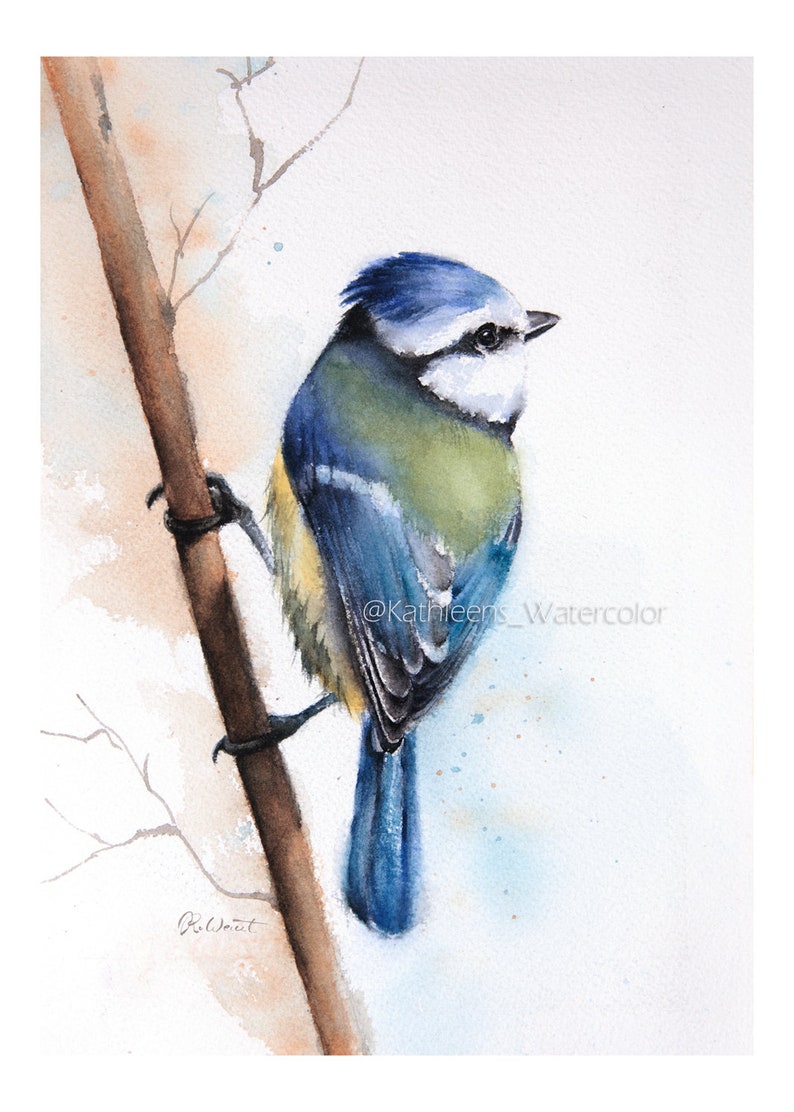 Puede incluir: Pintura acuarela de un carbonero com&uacute;n posado en una rama. El p&aacute;jaro tiene la cabeza azul, el pecho amarillo y la cola azul. El fondo es una suave acuarela de azul y blanco.