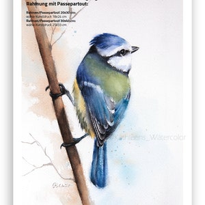 Puede incluir: Pintura acuarela de un carbonero com&uacute;n posado en una rama. El p&aacute;jaro tiene la cabeza, las alas y la cola azules, con el pecho amarillo. El fondo es una acuarela azul claro.