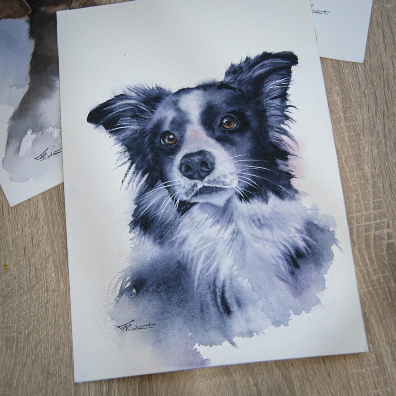 May include: A watercolor painting on paper depicting a black and white Border Collie dog with amber eyes. The artwork features expressive brushstrokes and a signature in the bottom left corner, capturing the dog's head and chest in detail.