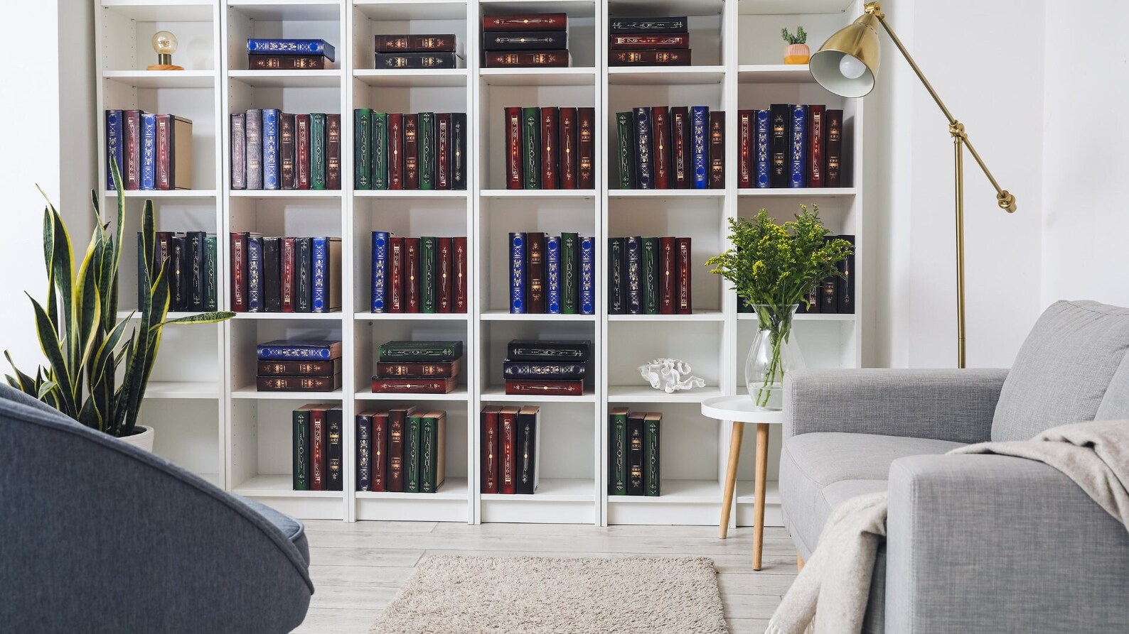 Zoom Background Bookshelf, Virtual Bookshelf, Backdrop, Office