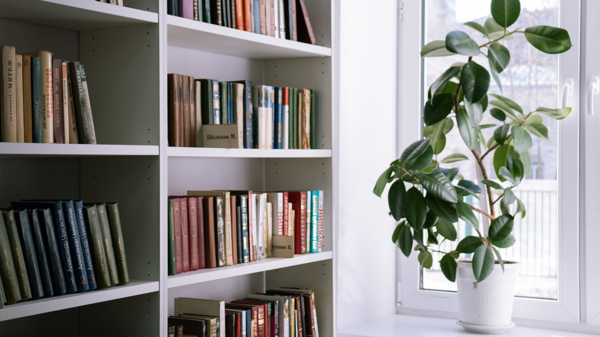 Zoom Background Bookshelf, Virtual Bookshelf, Backdrop, Office